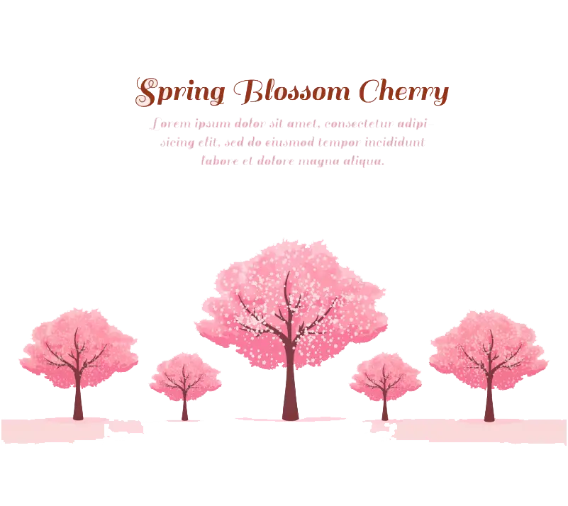 Spring Blossom Cherry Trees