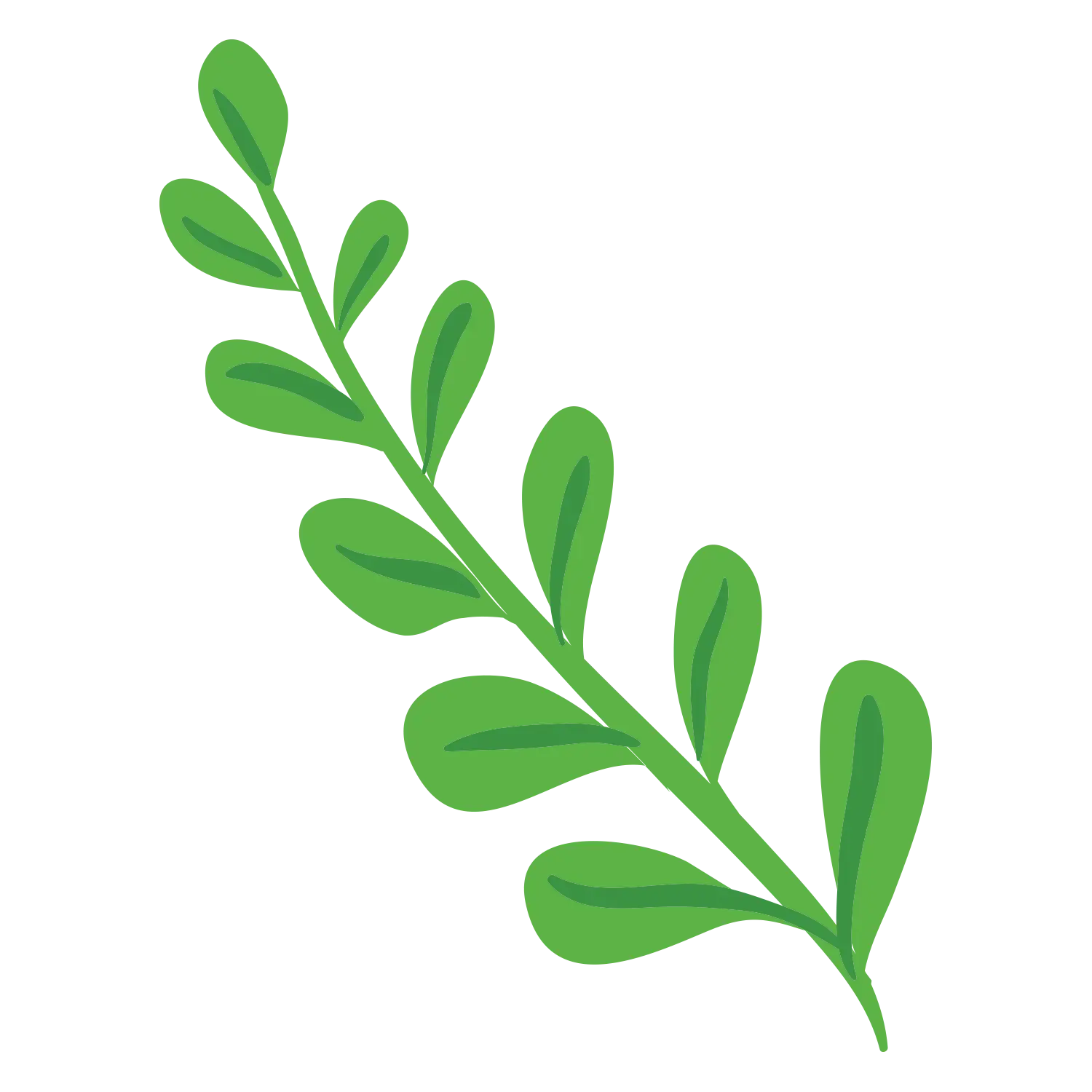 Green Leaf Branch in Cartoon Style