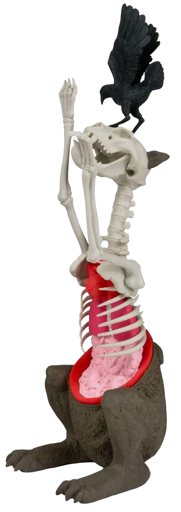 Skeleton with Crow Figure