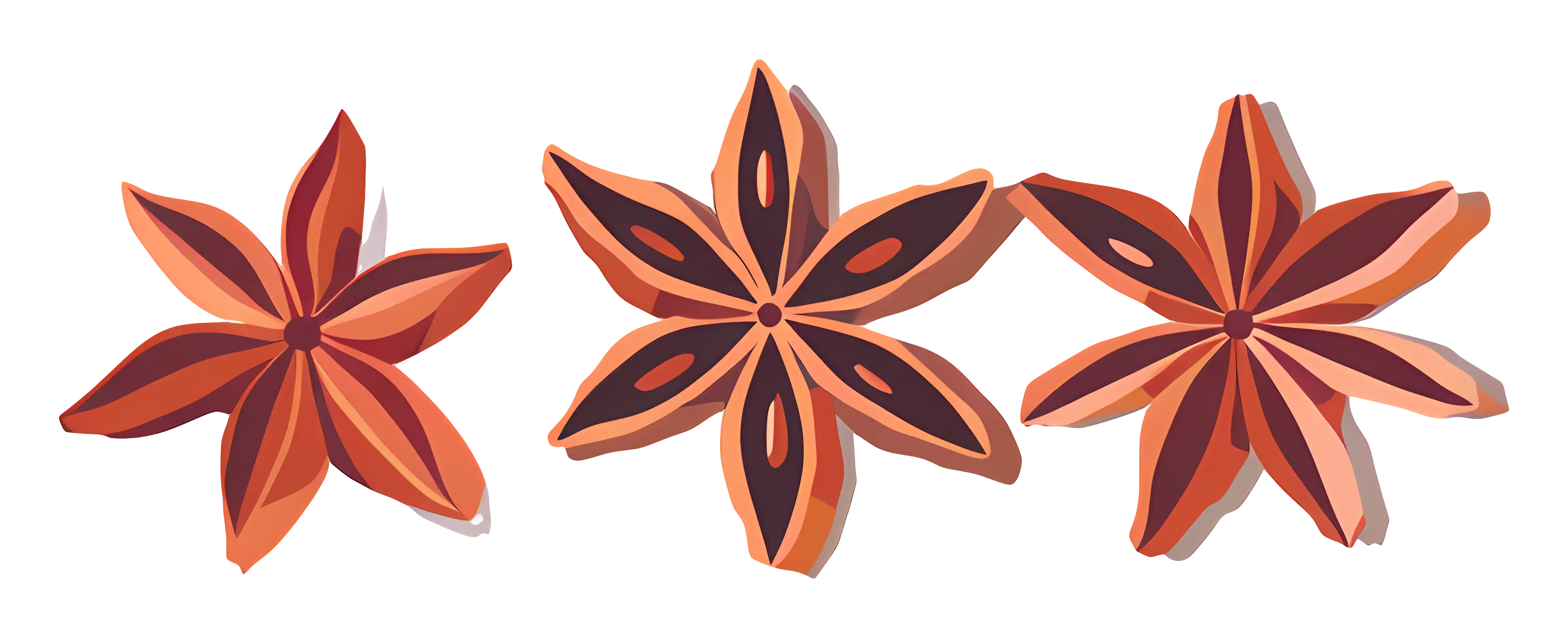Star Anise Spice