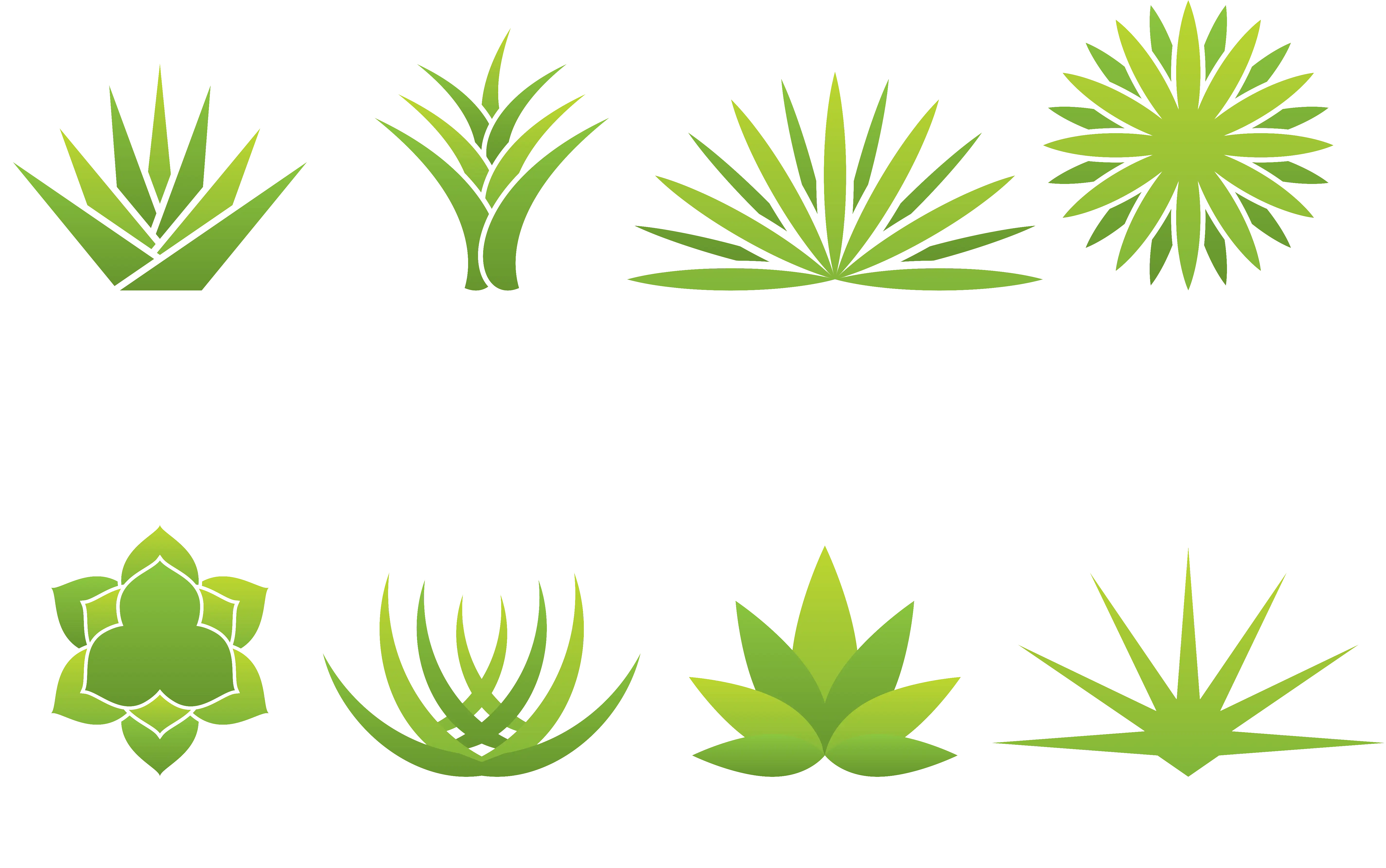 Various Green Plants