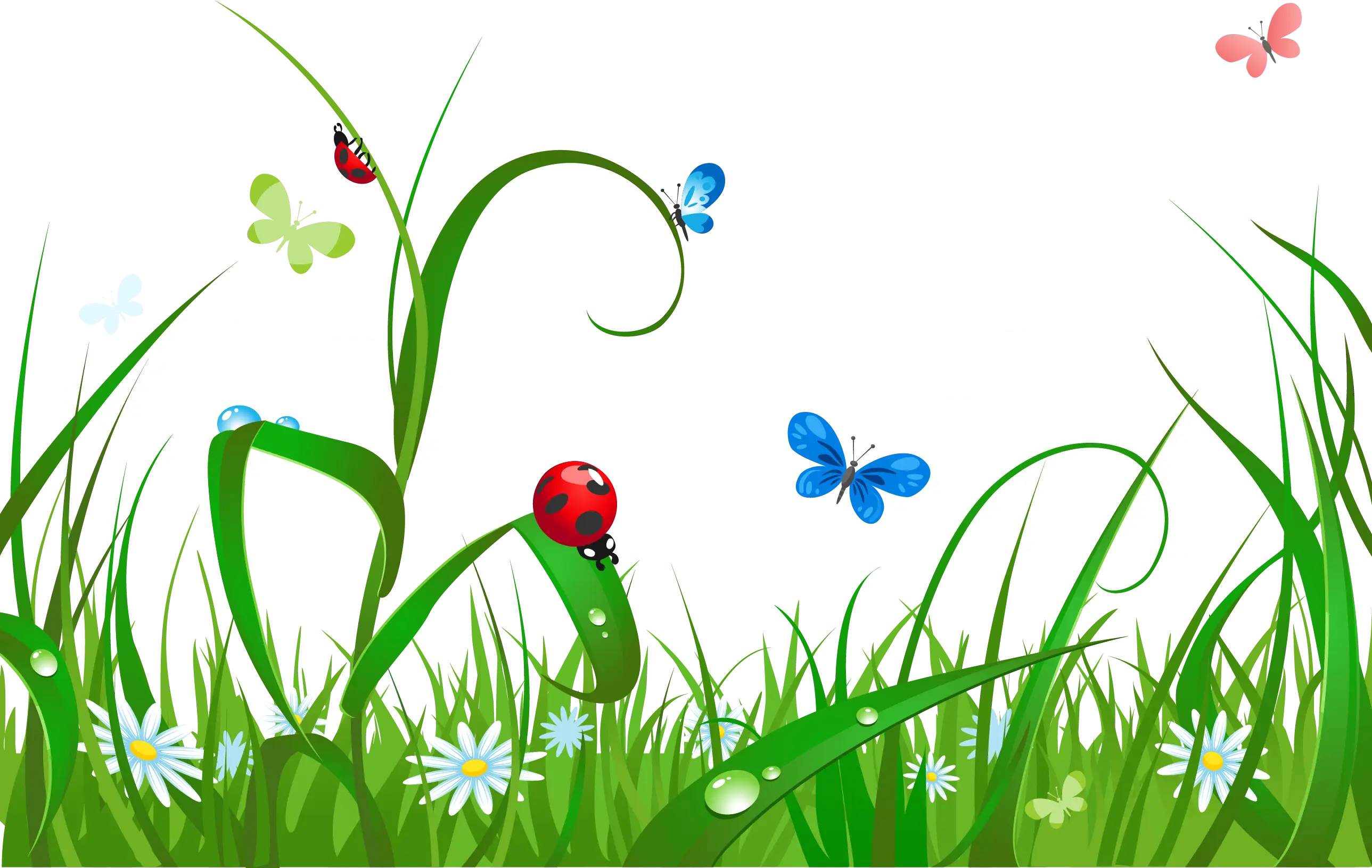 Field with Ladybird and Butterflies