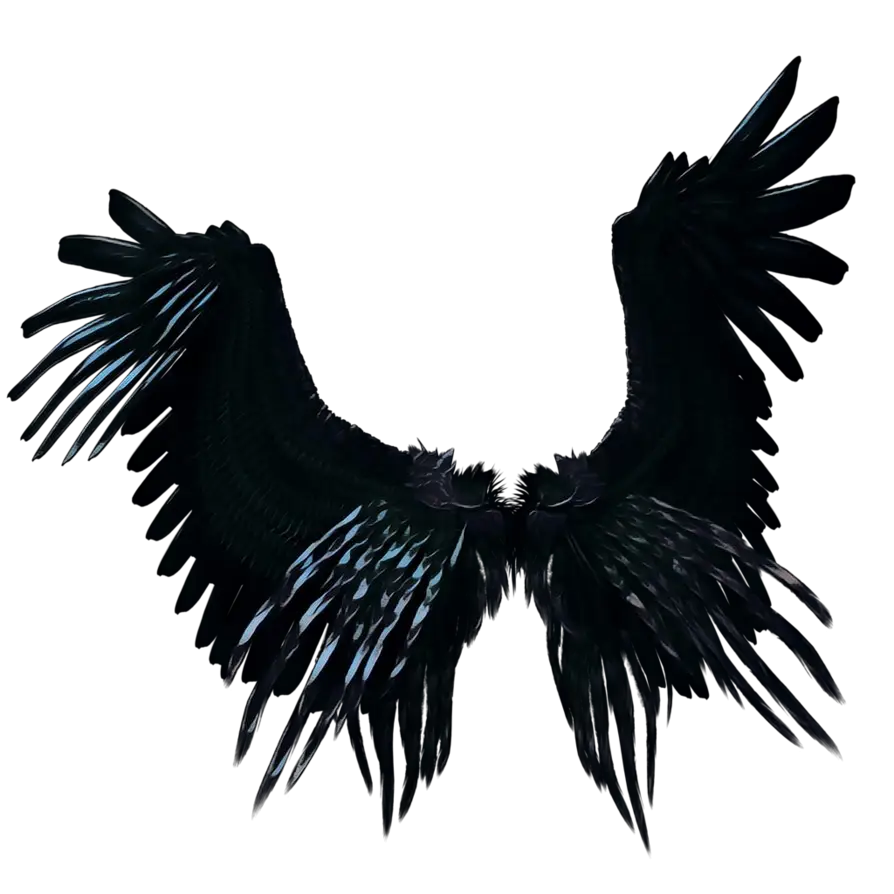 Black Angel Wings Illustration