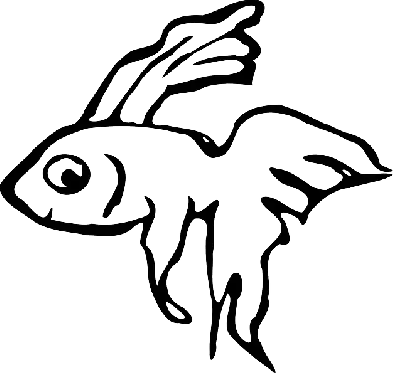Goldfish Sketch Outline Drawing