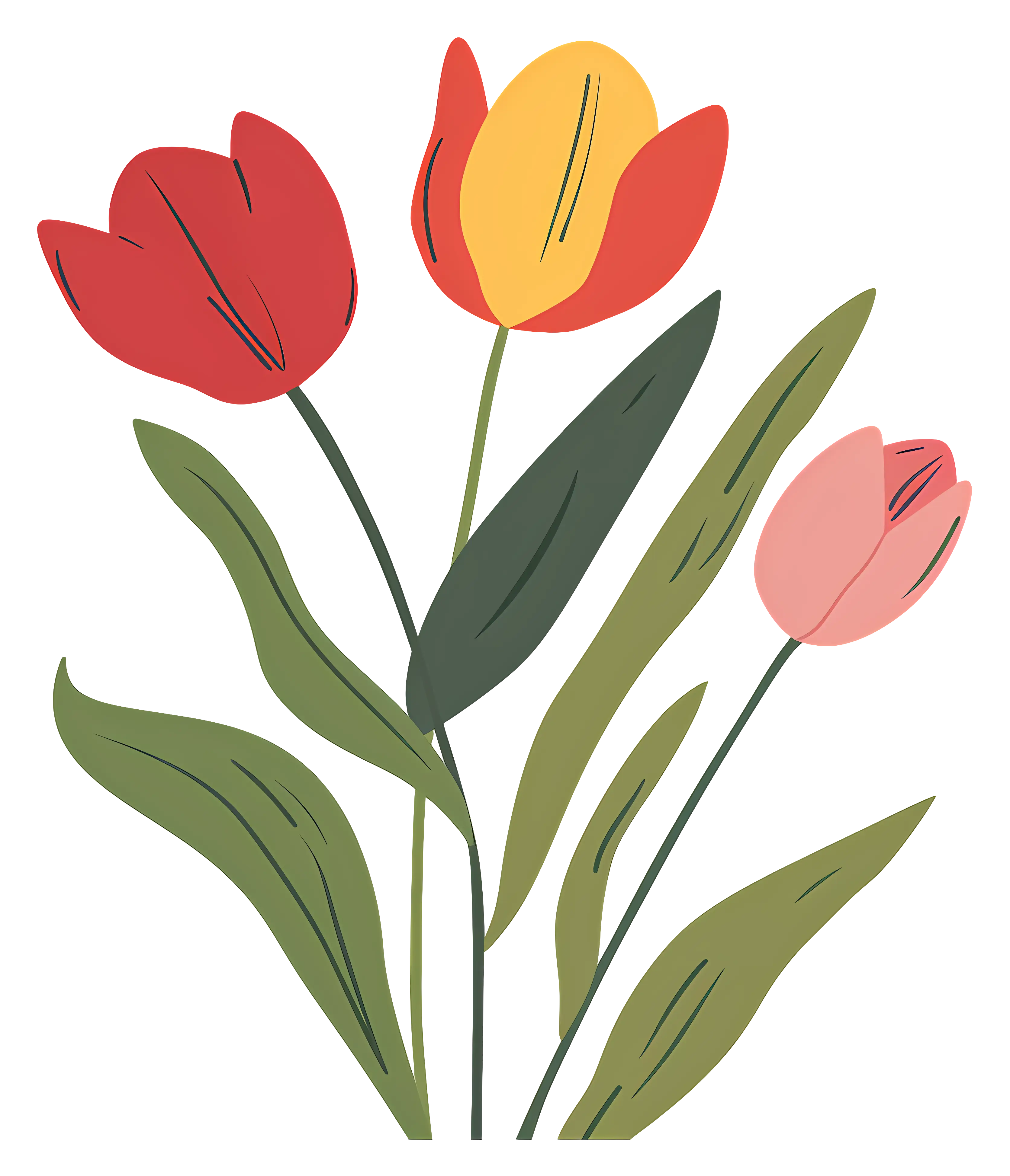 Colorful Illustrated Tulips