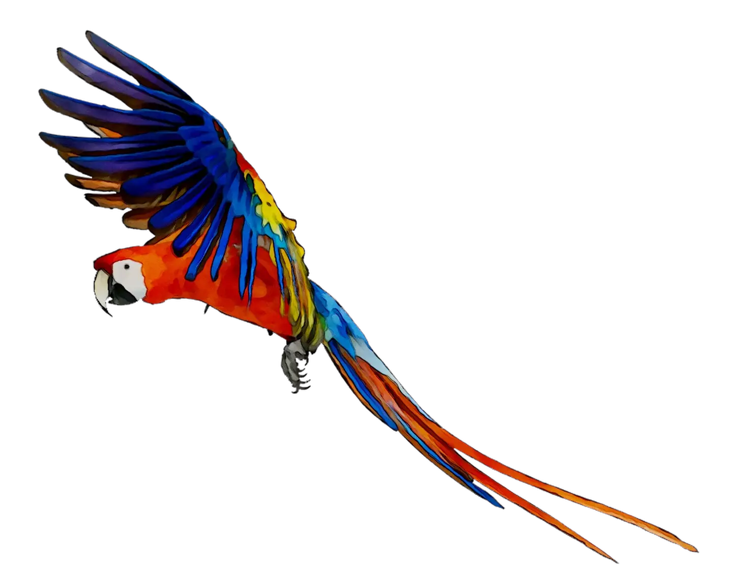 Flying Parrot with Vibrant Feathers