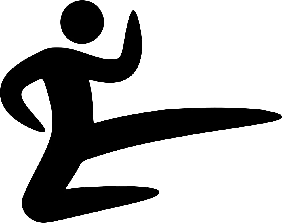 Martial Arts Kick Silhouette Icon