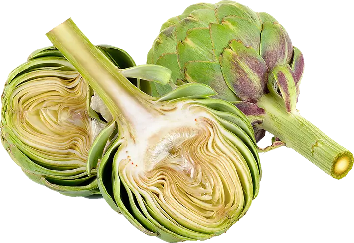 Fresh Green Artichoke Cut in Half