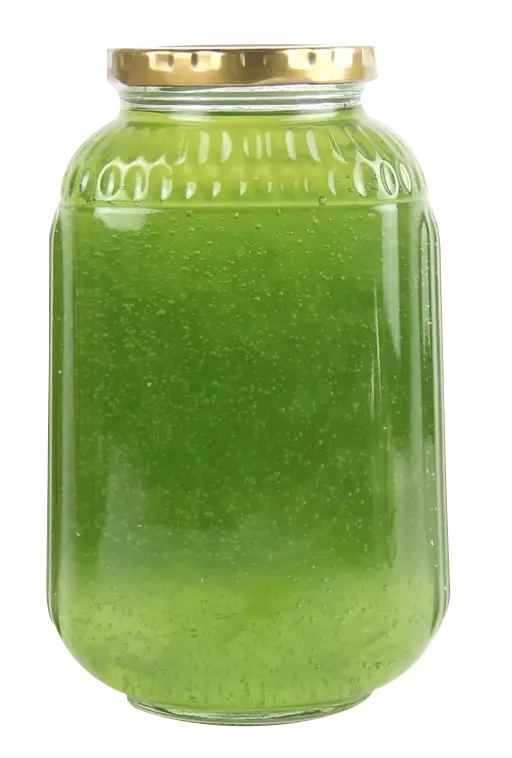 Green Jar with Lid