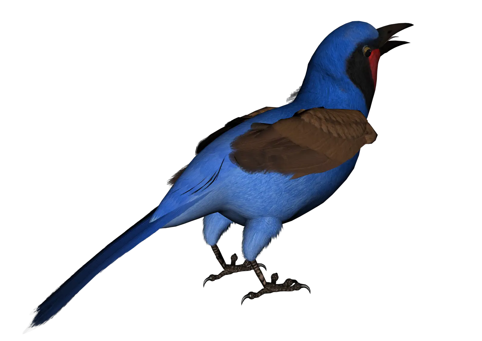Blue Bird with Brown Wings