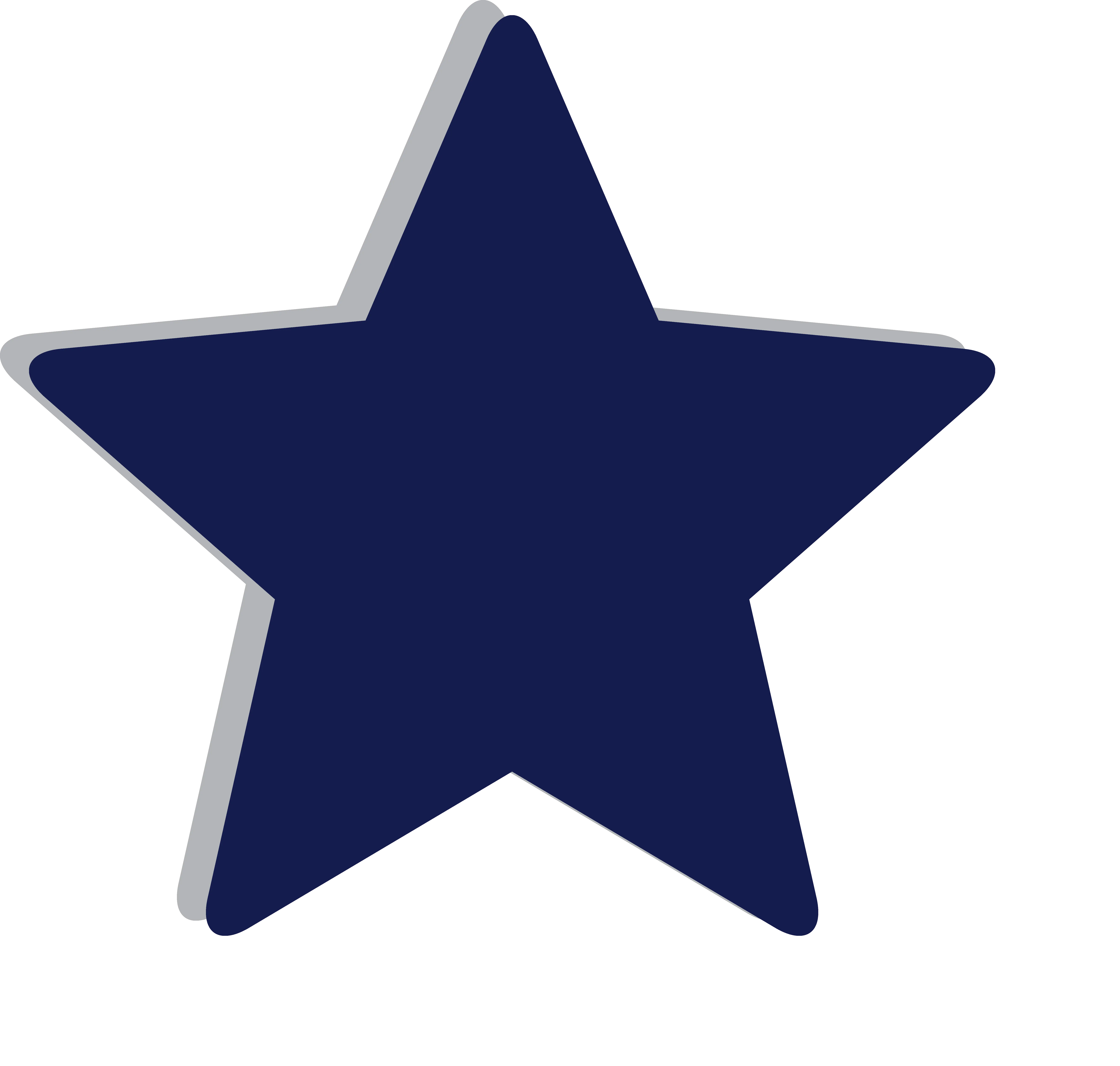 Blue Star Decorative Shape