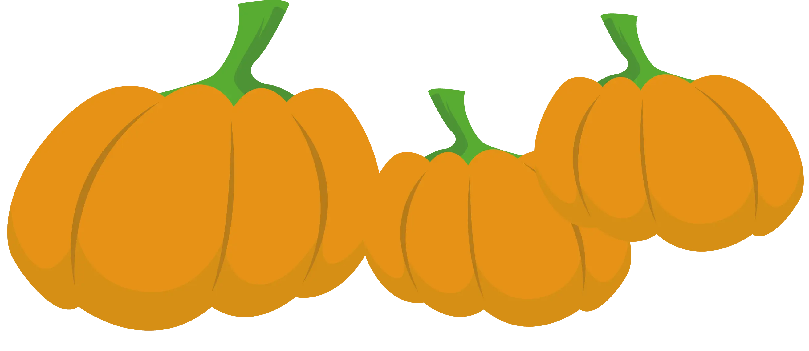Orange Pumpkins Illustration for Autumn Season