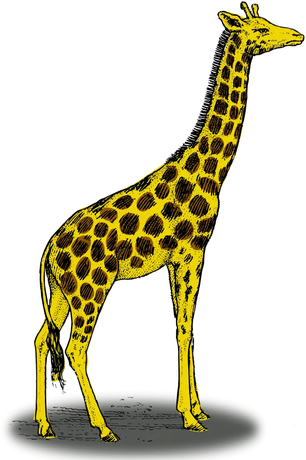 Illustrated Giraffe - Wildlife Graphic