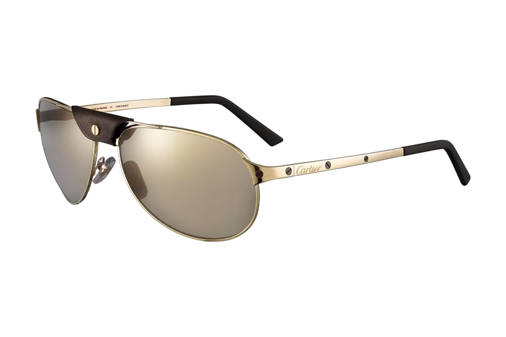 Gold Frame Aviator Sunglasses