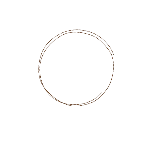 Simple Circle Outline