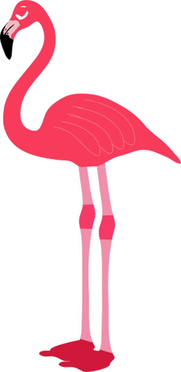 Artistic Red Flamingo Illustration