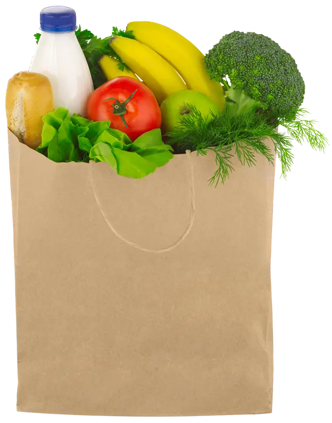 Full Grocery Bag with Fresh Produce
