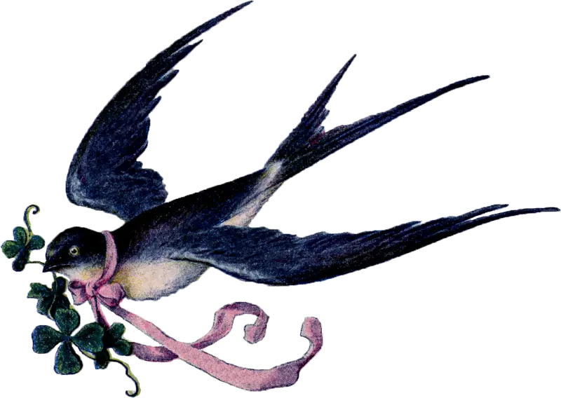 Flying Swallow Holding a Clover