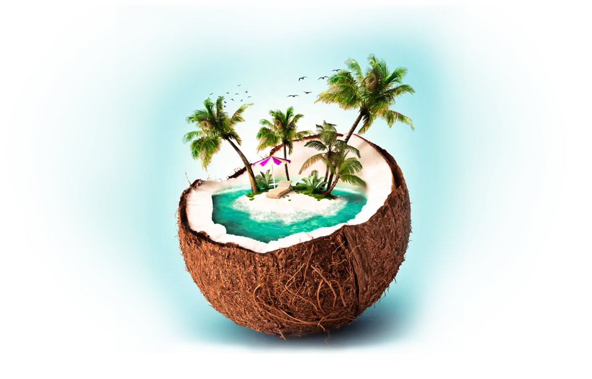 Coconut Island Concept Illustration