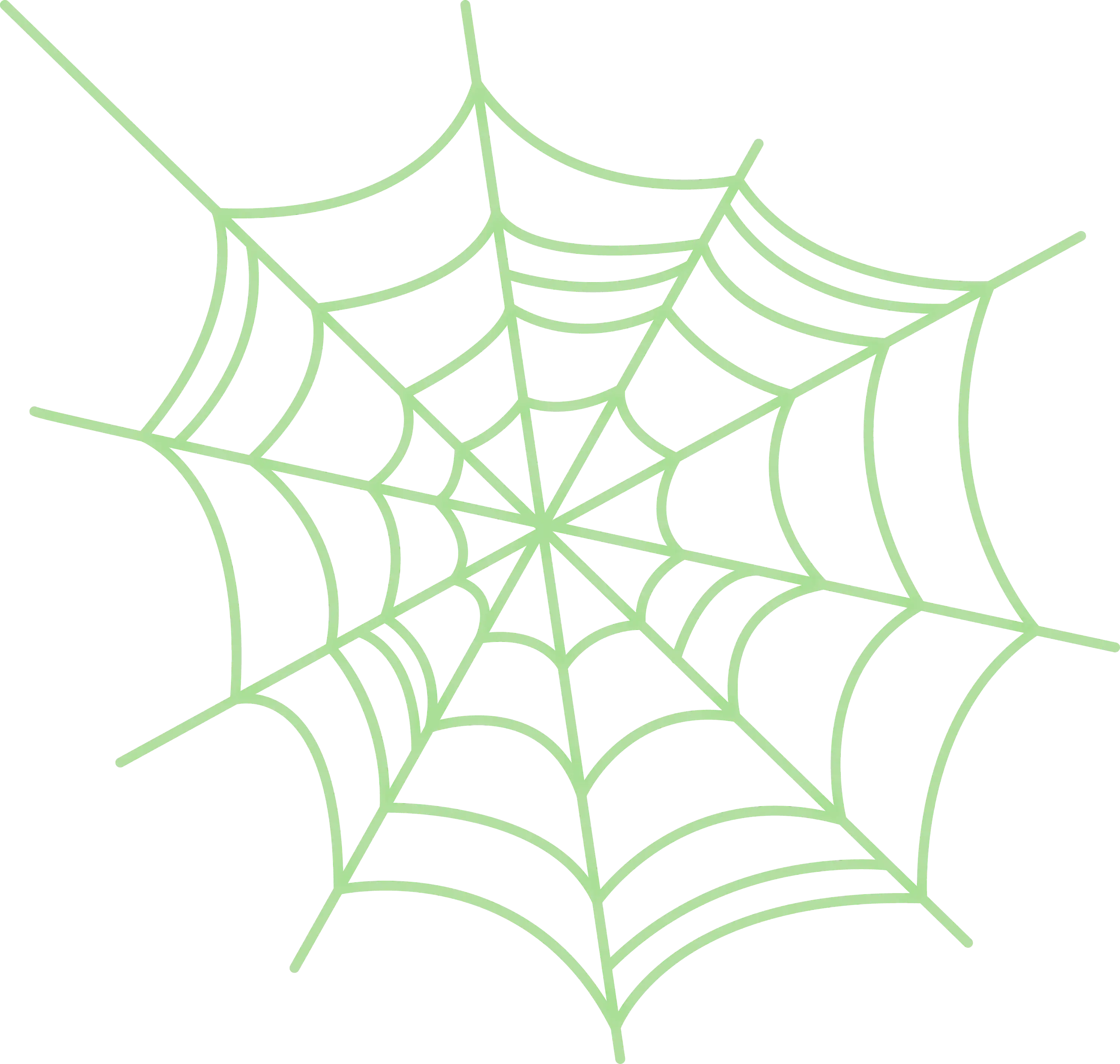 Green Spider Web Illustration for Decoration