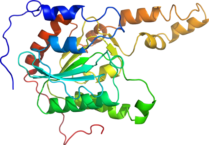 Colorful Protein Structure Illustration for Science