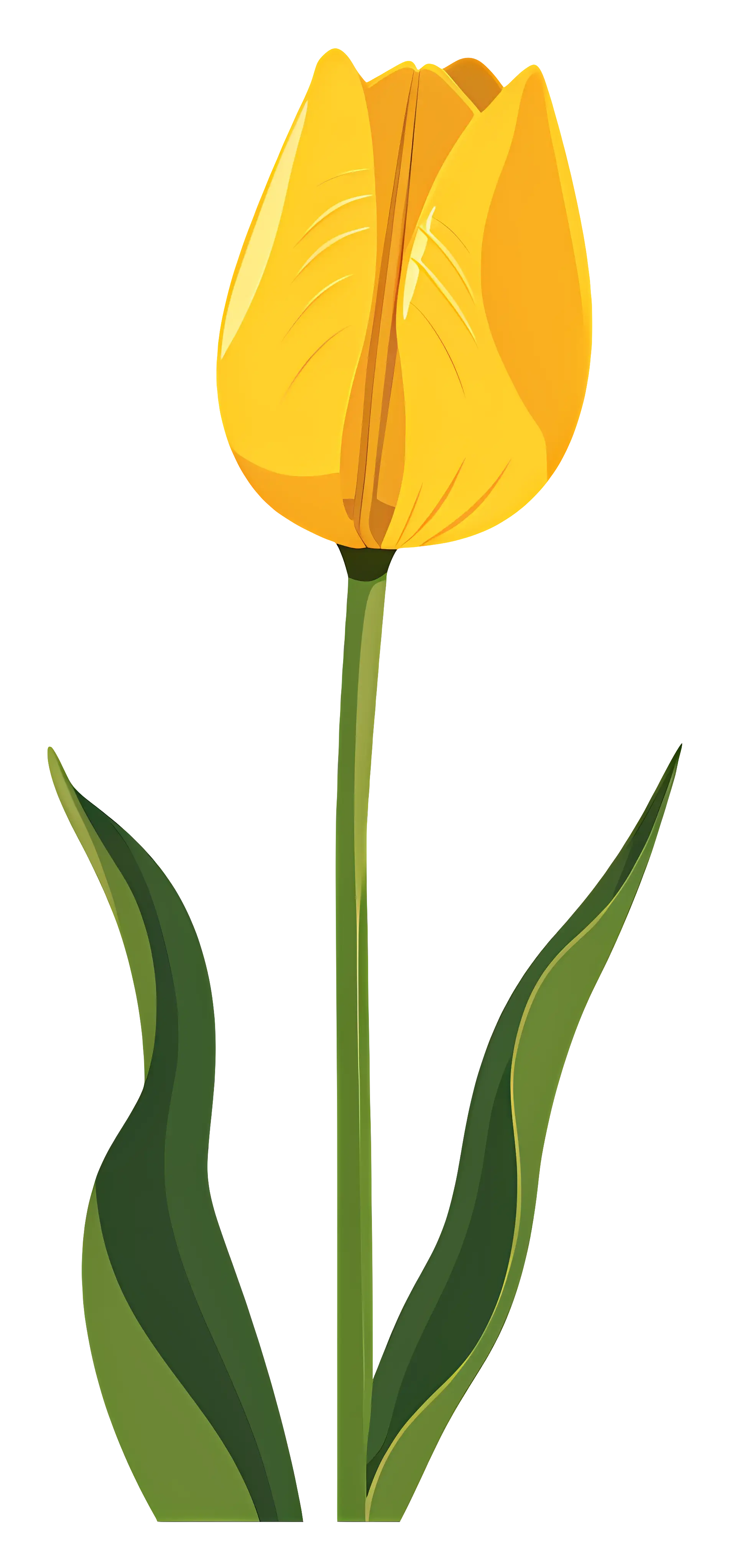 Yellow Tulip Digital Illustration