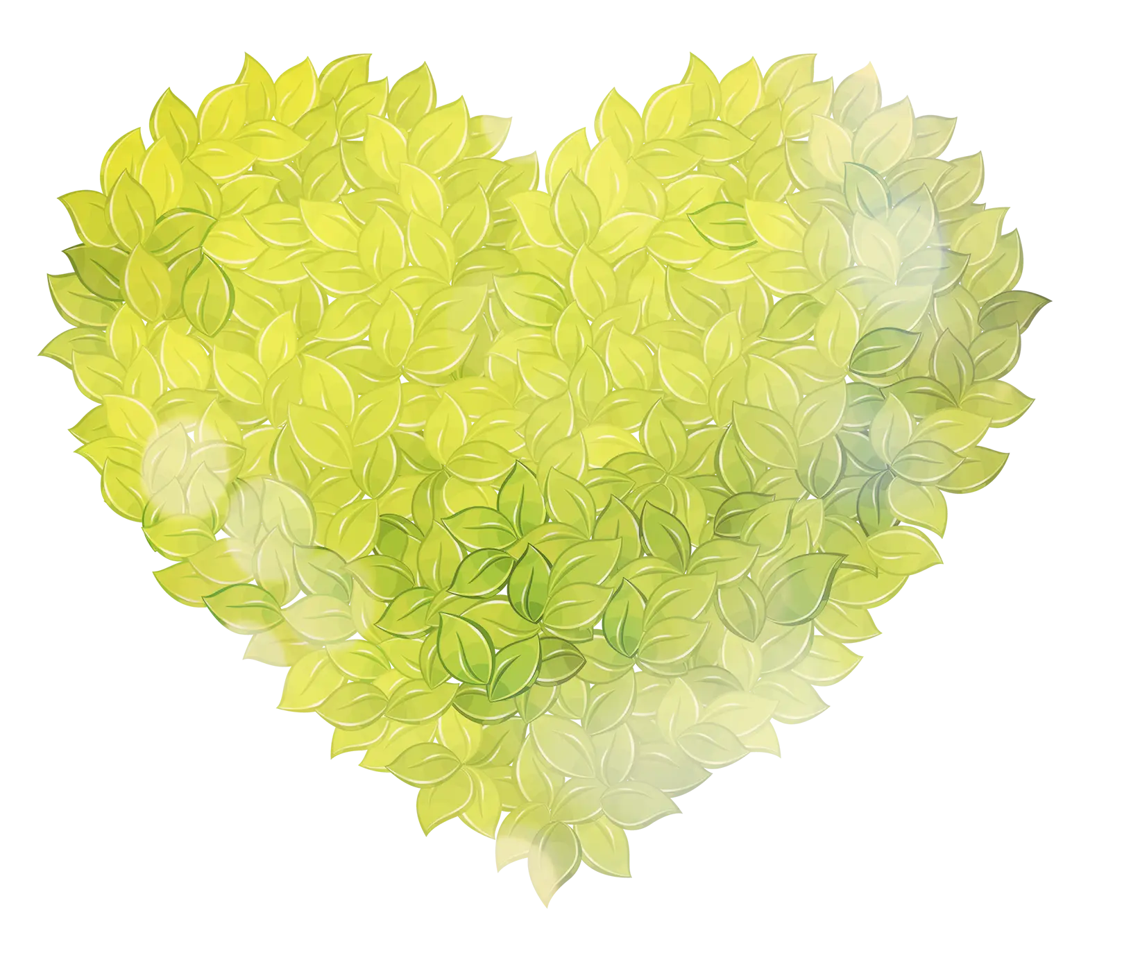 Green Heart Made of Leaves