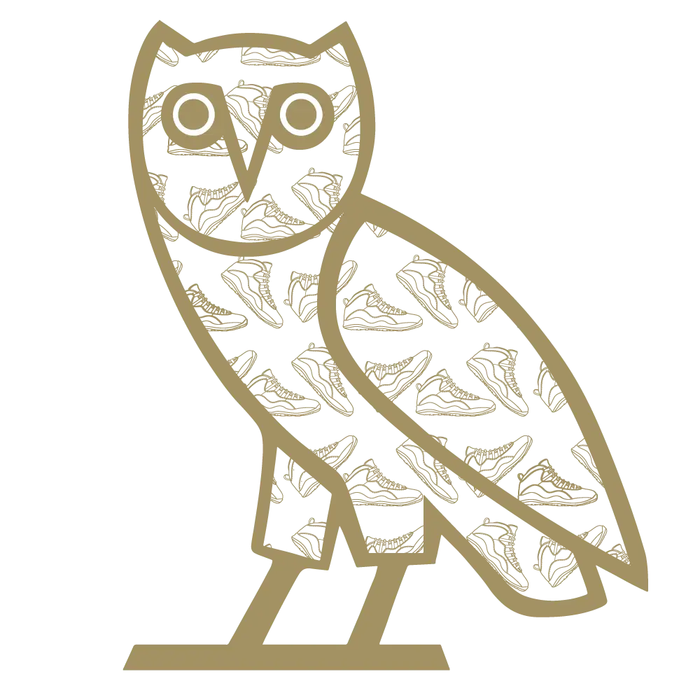Golden Owl Illustration with Sneaker Pattern