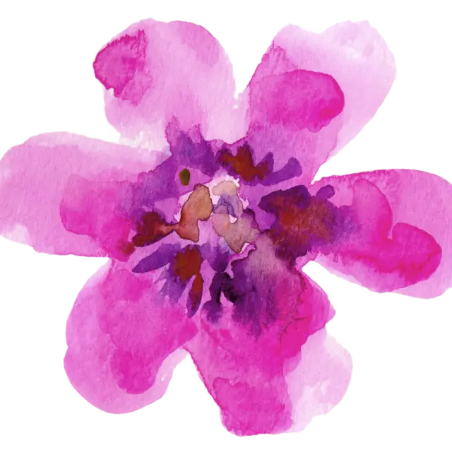 Watercolor Pink Flower