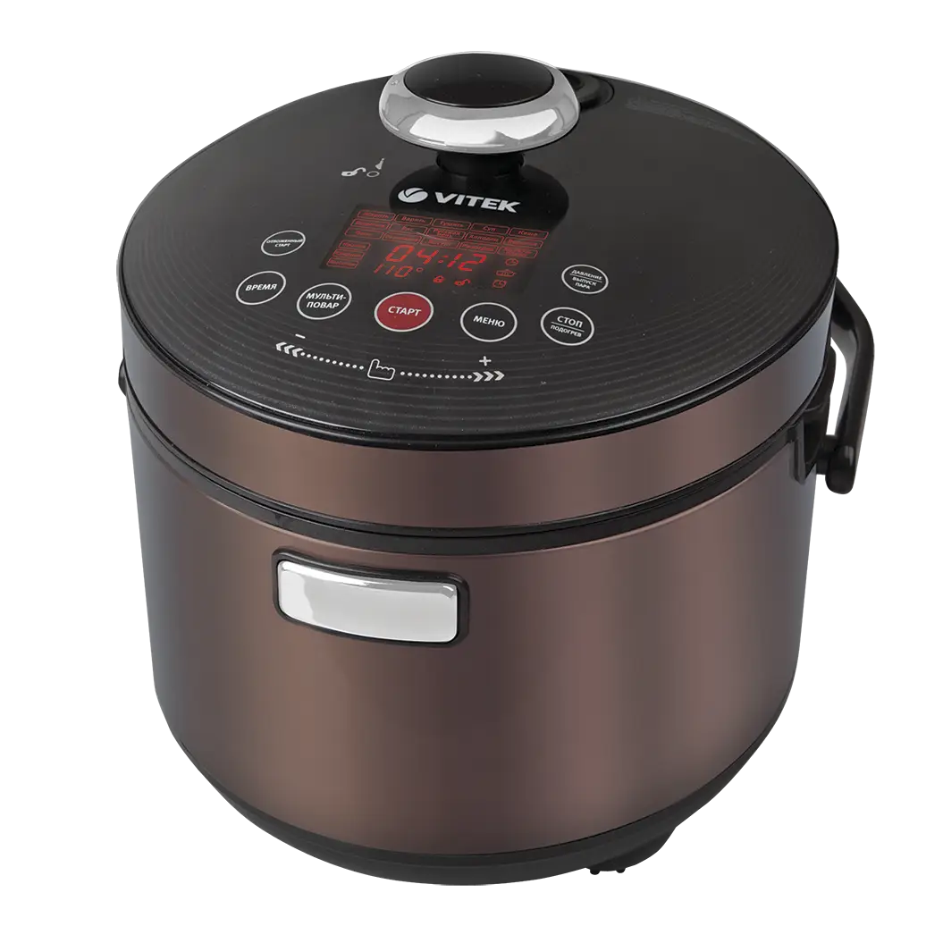 Modern Multi-Cooker Kitchen Appliance