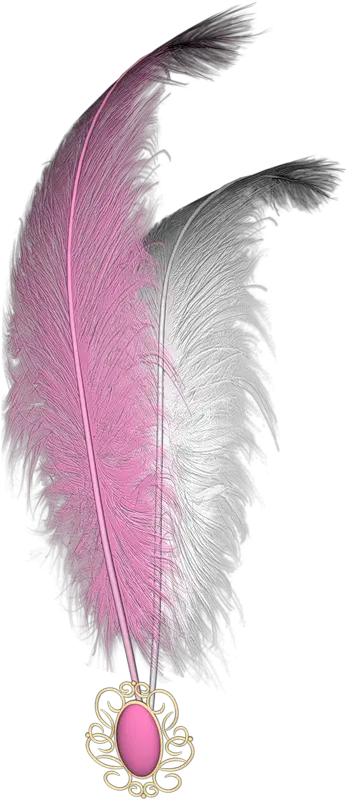 Elegant Pink and Gray Decorative Feathers