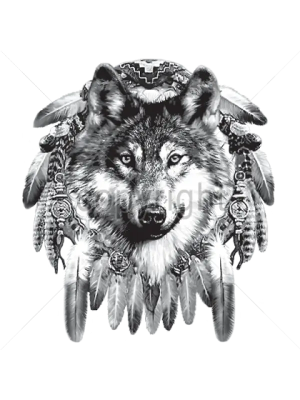 Wolf Illustration with Tribal Feathers