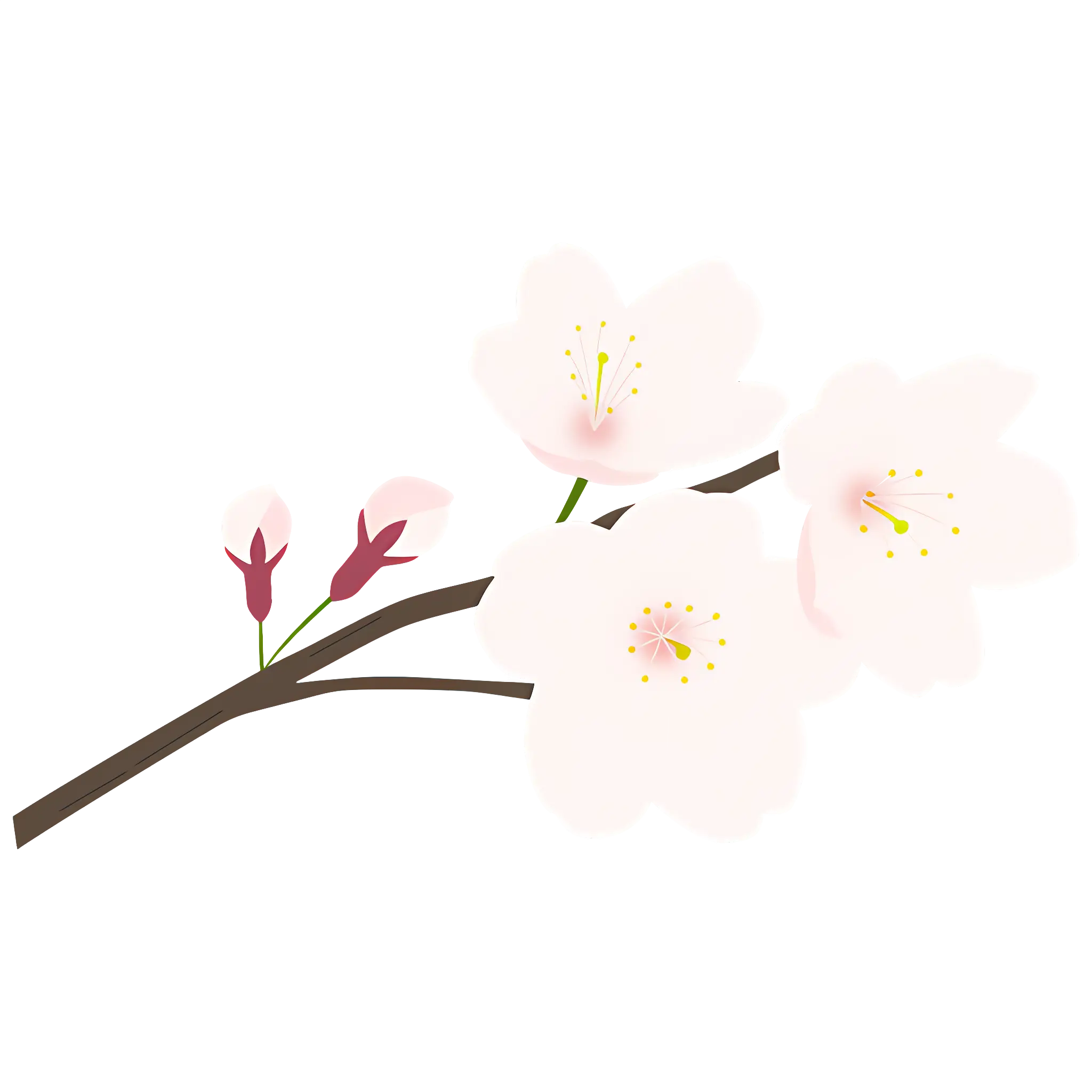 Cherry Blossom Branch with Pink Flowers