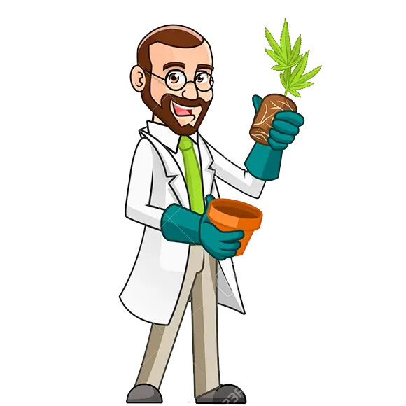 Scientist Holding a Plant