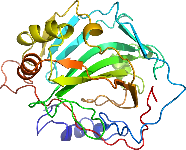 Ribbon Protein Structure Scientific Illustration