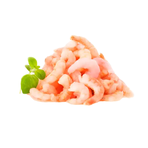 Pile of Fresh Shrimp