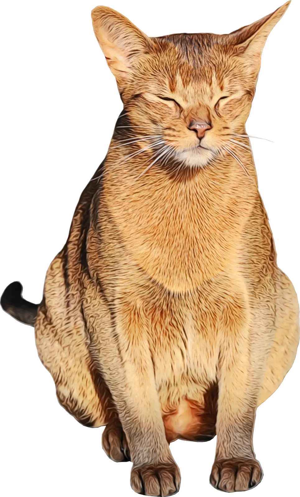 Relaxed Sitting Cat Illustration for Pet Lovers