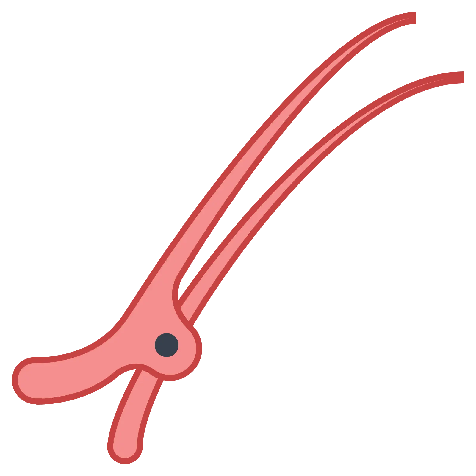 Red Surgical Scissors Illustration