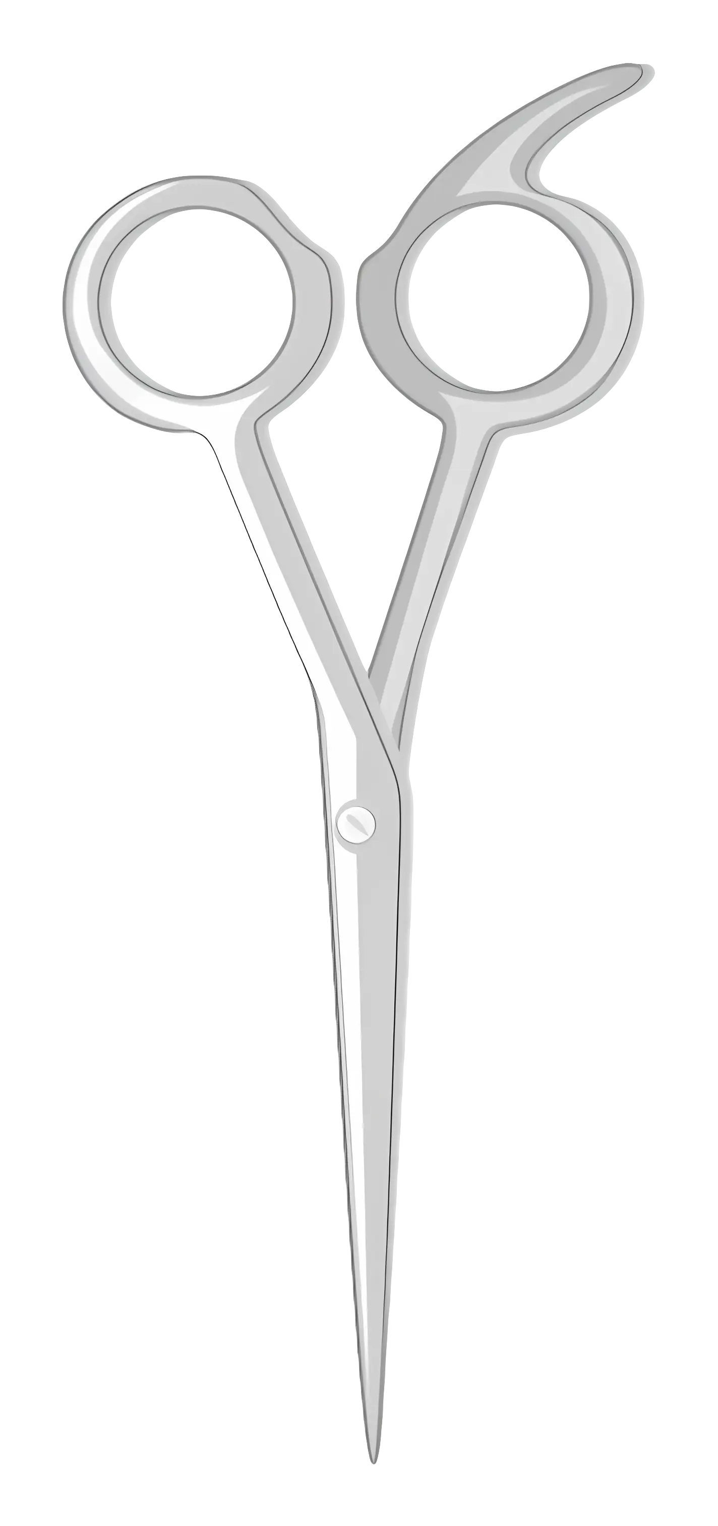 Silver Scissors