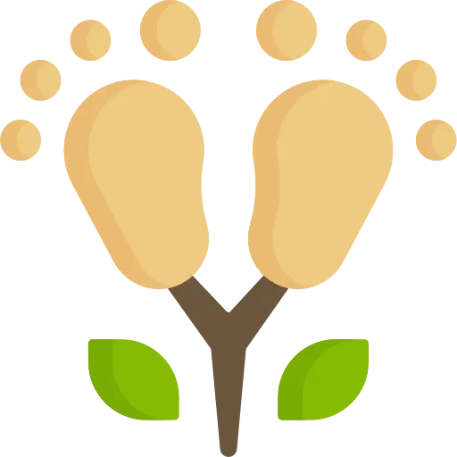 Footprints Icon