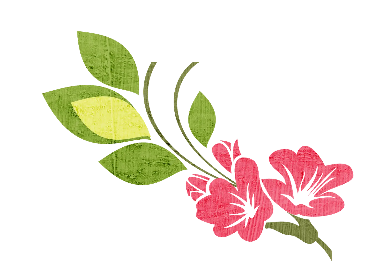 Pink Flowers with Green Leaves Illustration