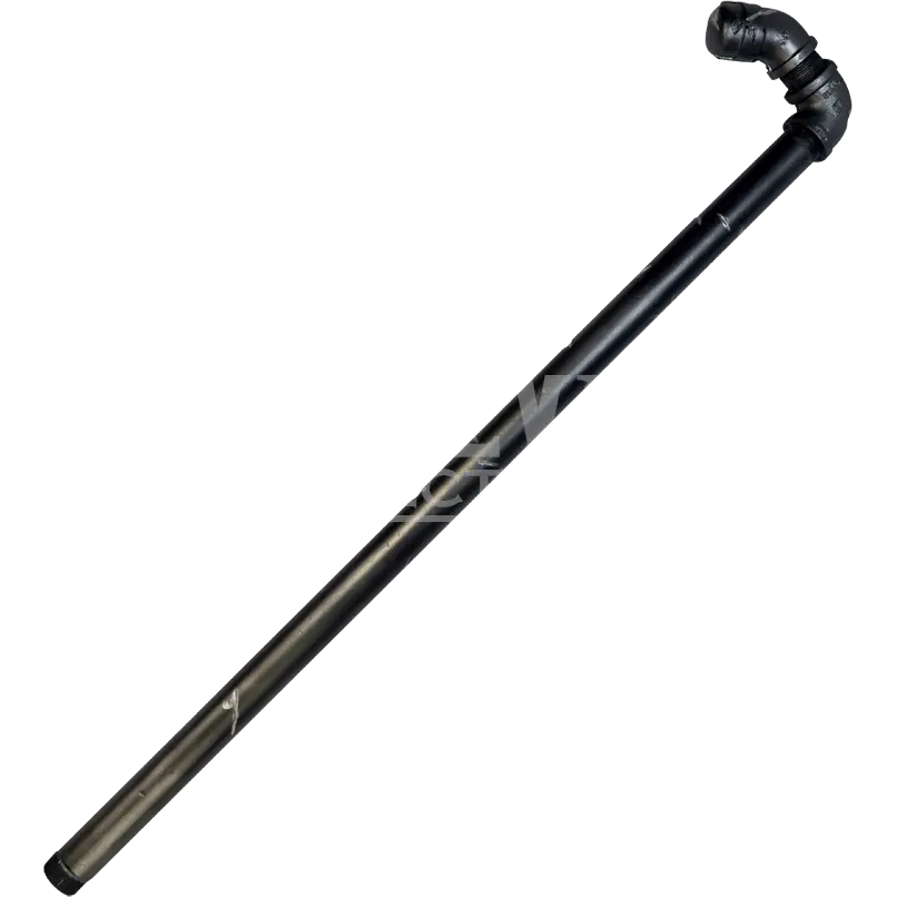 Black Cane for Mobility Support