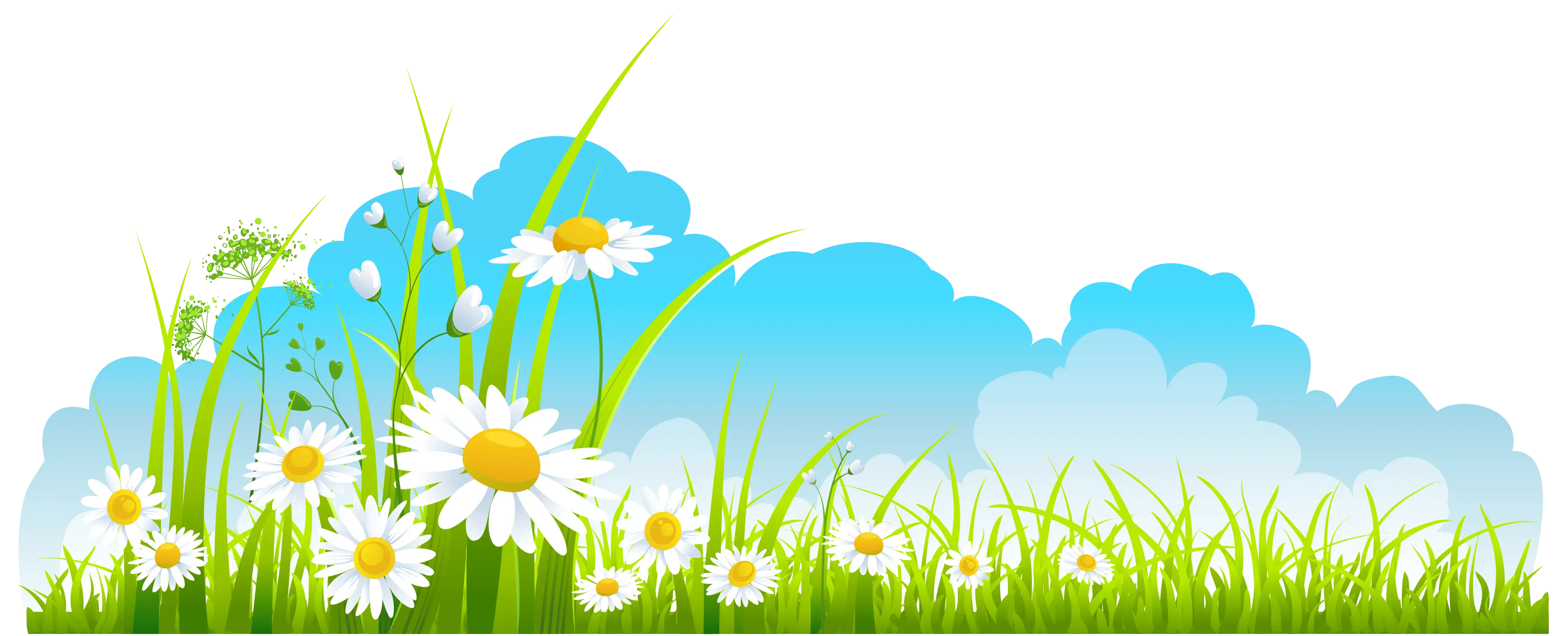 Daisies in a Green Field Illustration
