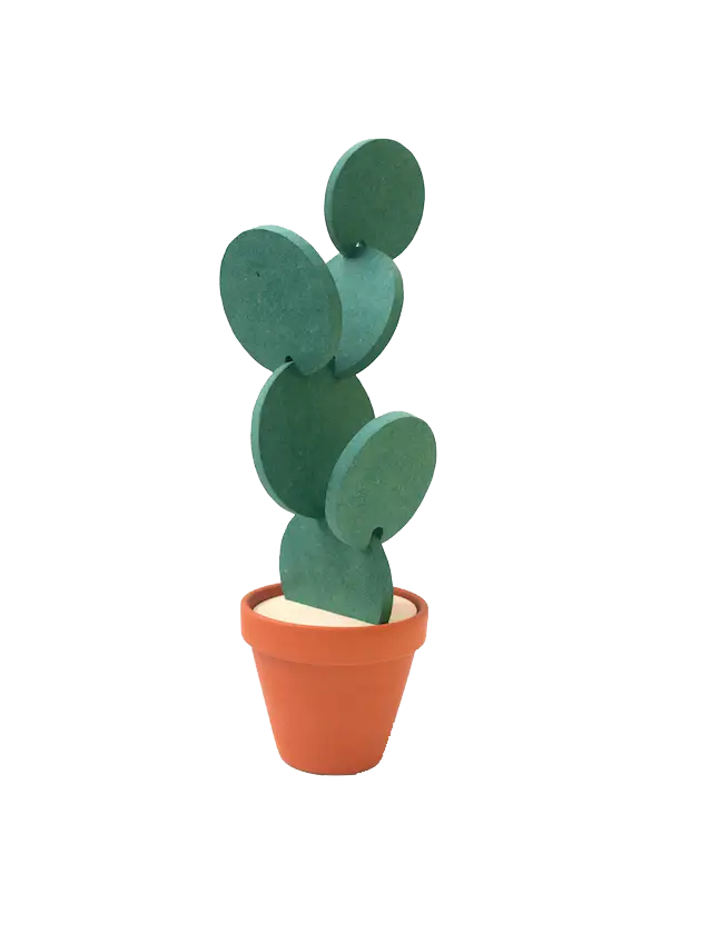 Green Cactus in a Pot