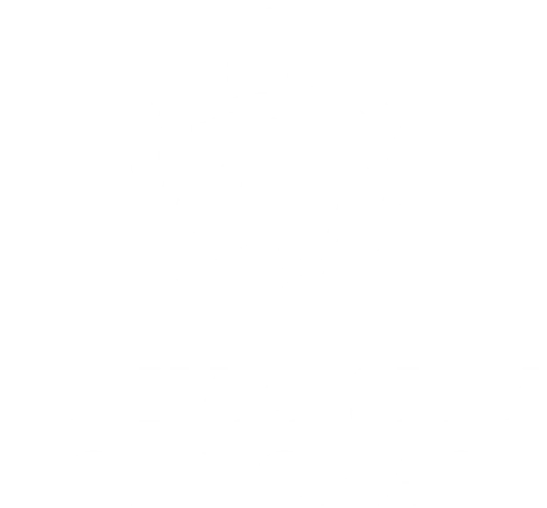 University Emblem Logo Design
