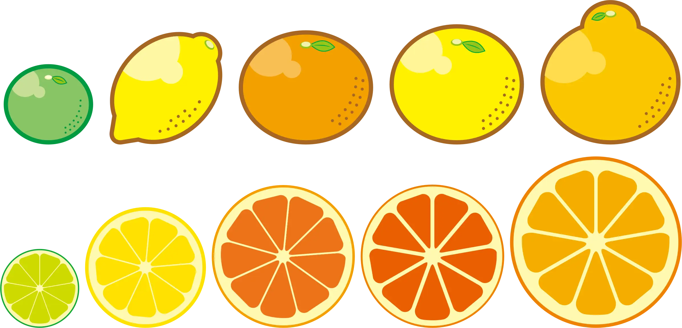 Colorful Citrus Fruits