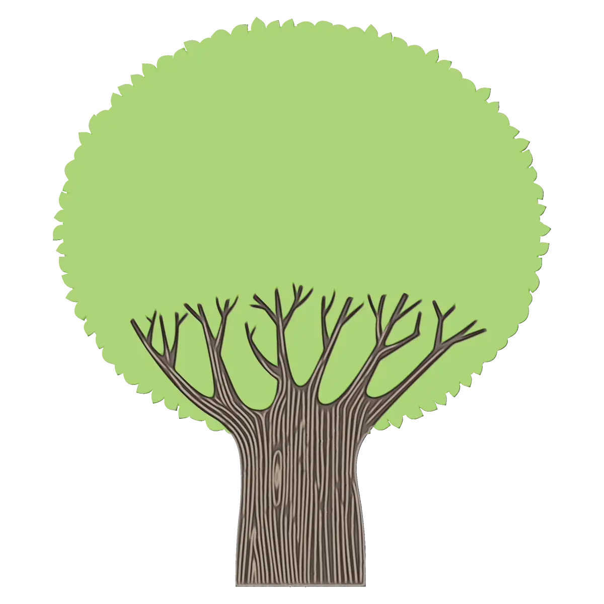 Tree with a Round Green Canopy Top
