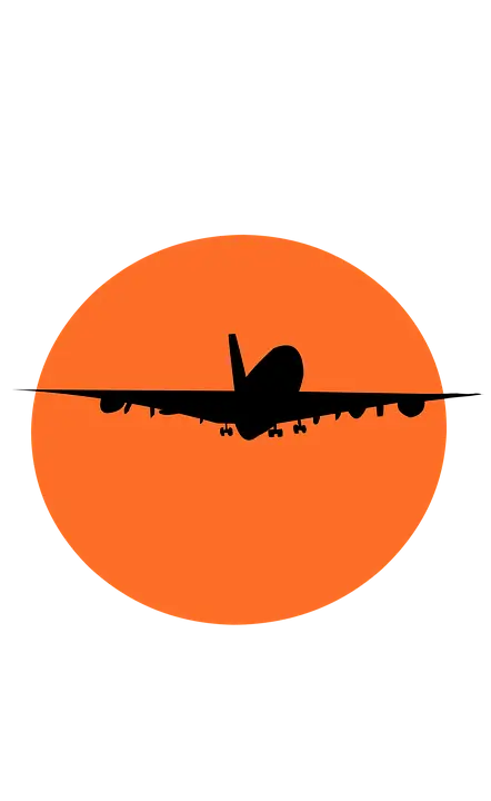 Airplane Silhouette Against Orange Sun