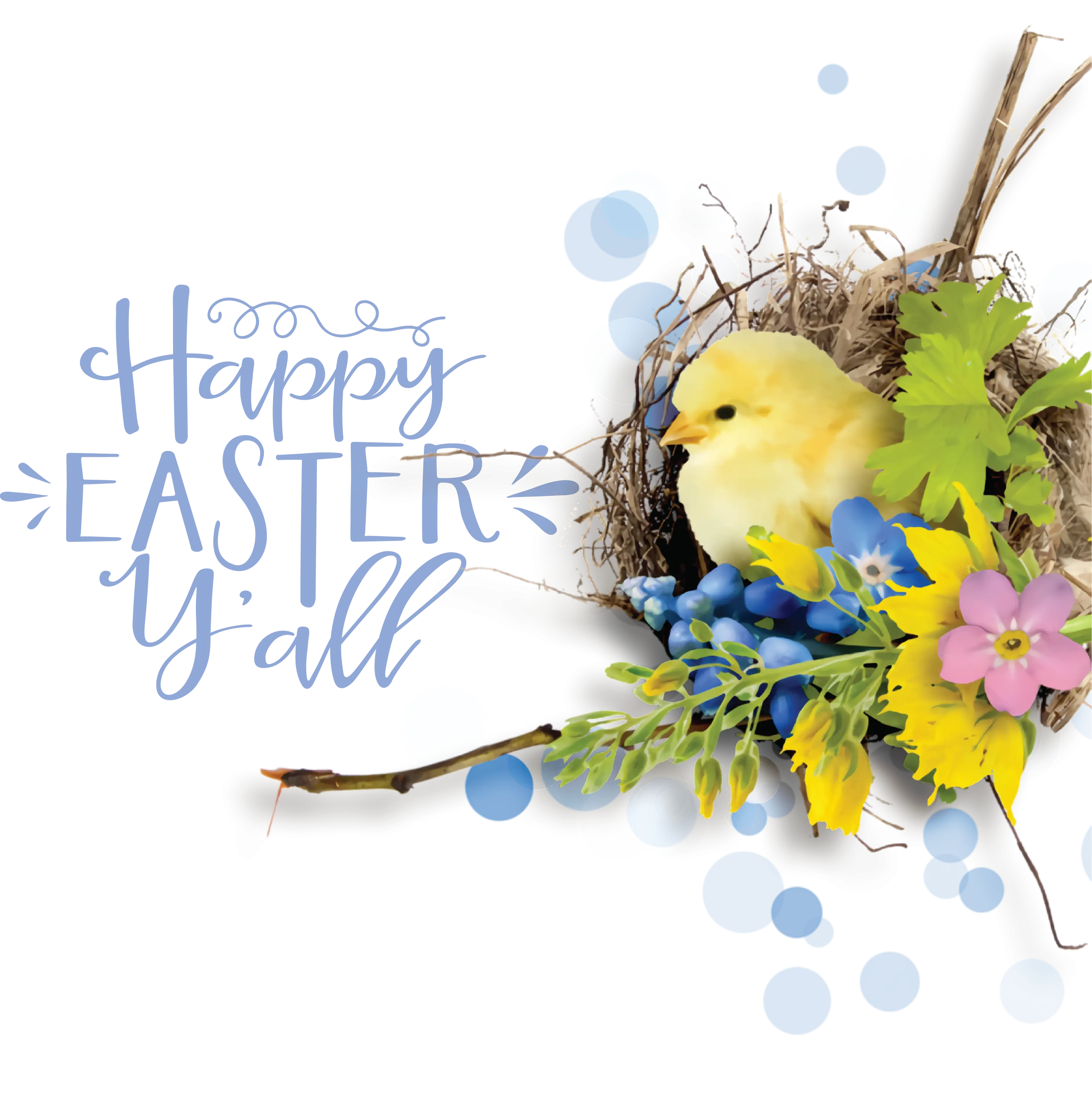 Happy Easter Y&#039;all with Chick and Flowers