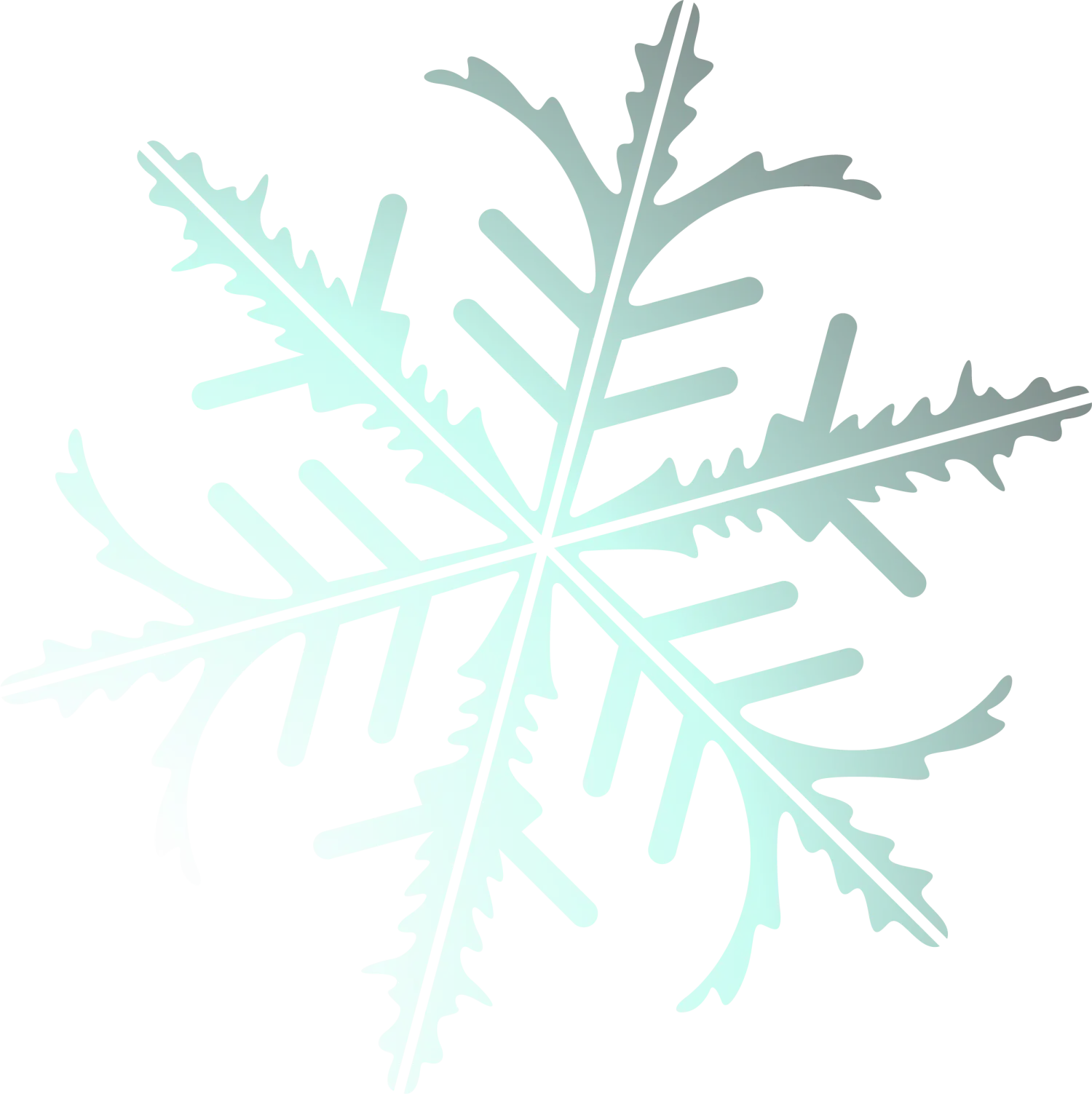 Cool Snowflake Illustration